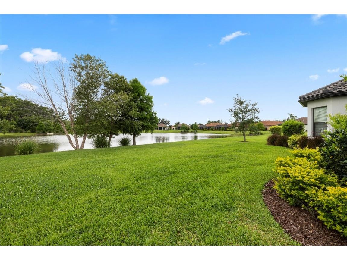 11398 Juglans Drive Odessa FL 33556 W7875778 image55