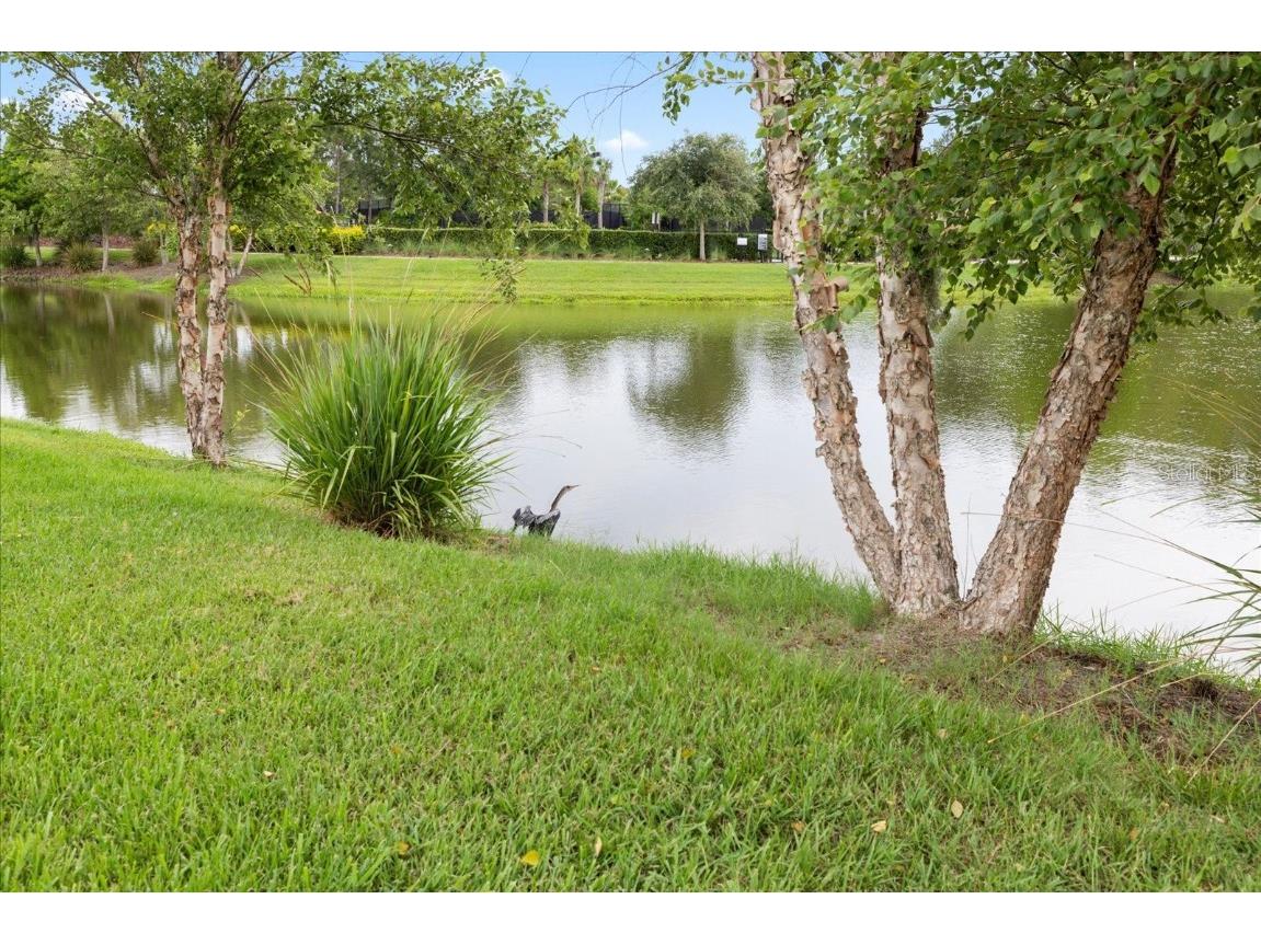 11398 Juglans Drive Odessa FL 33556 W7875778 image56