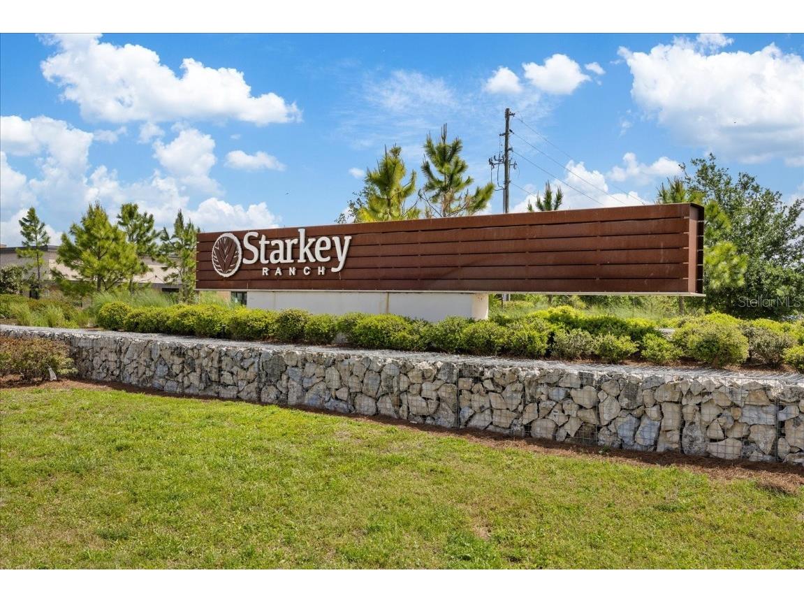 11398 Juglans Drive Odessa FL 33556 W7875778 image60