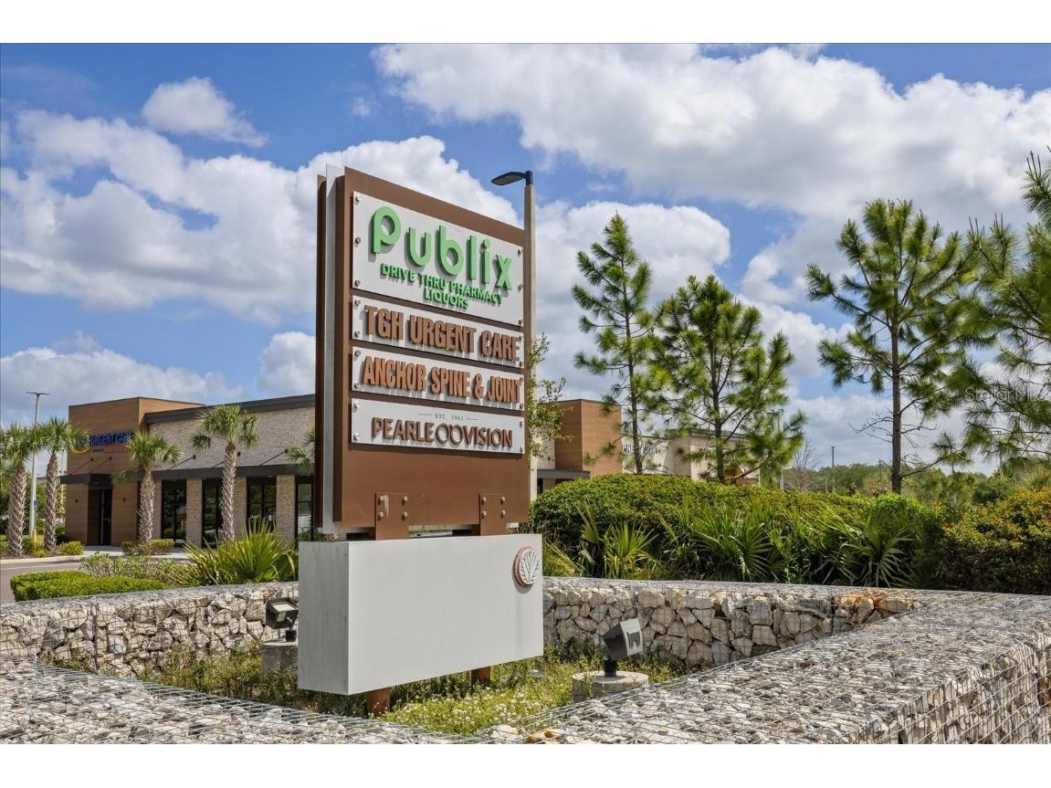 11398 Juglans Drive Odessa FL 33556 W7875778 image64