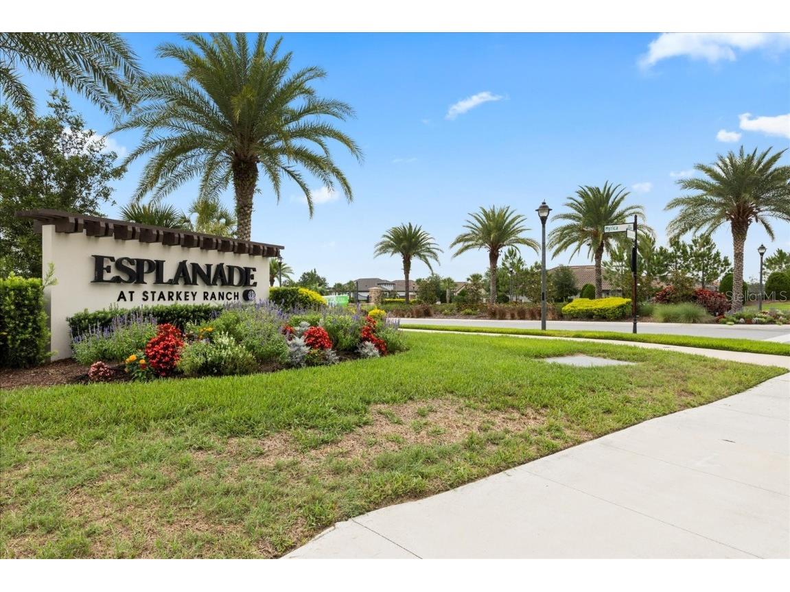 11398 Juglans Drive Odessa FL 33556 W7875778 image66