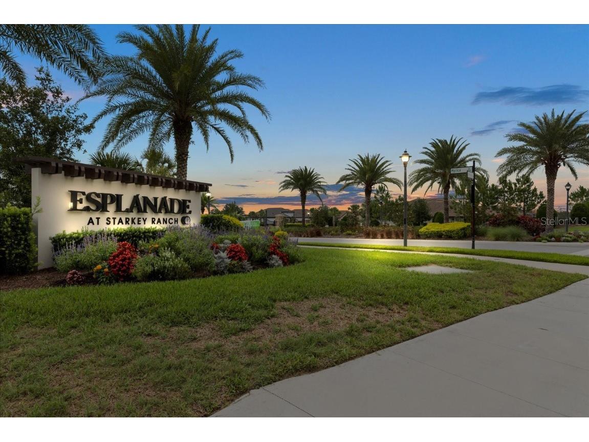 11398 Juglans Drive Odessa FL 33556 W7875778 image67