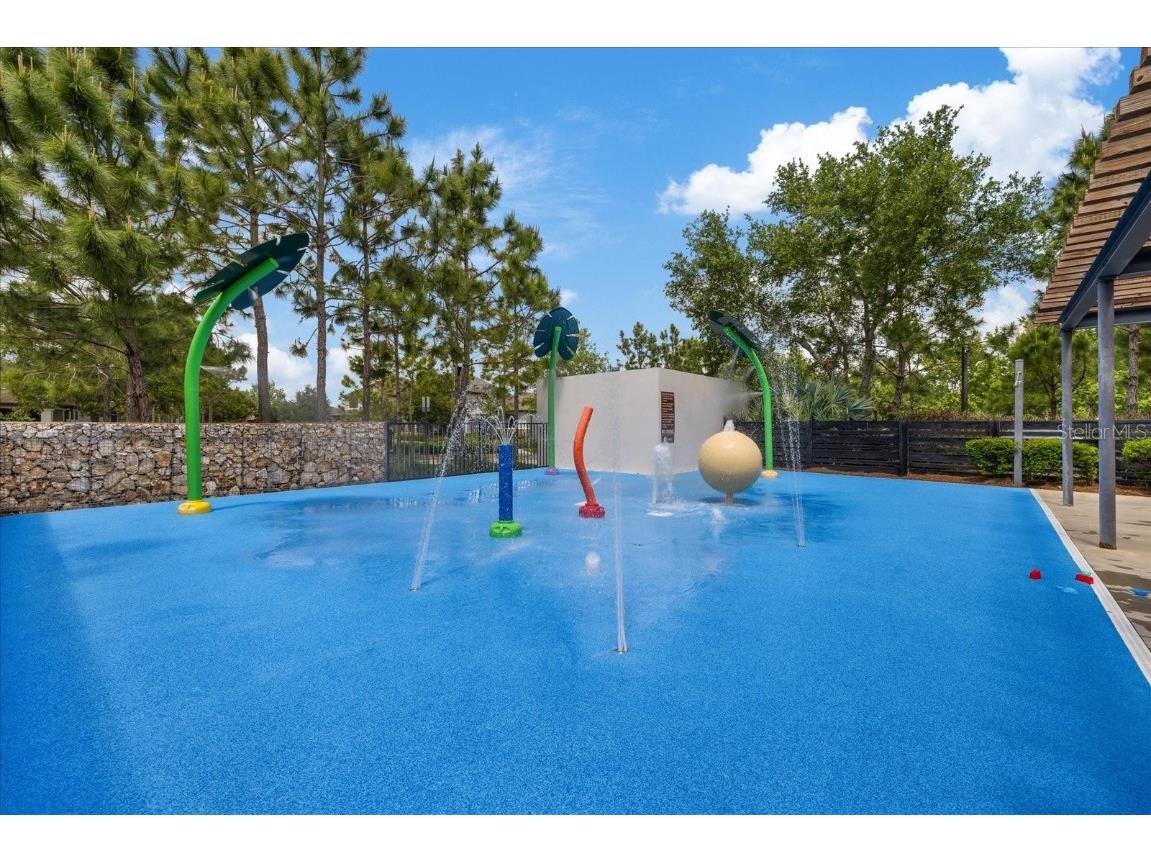 11398 Juglans Drive Odessa FL 33556 W7875778 image87