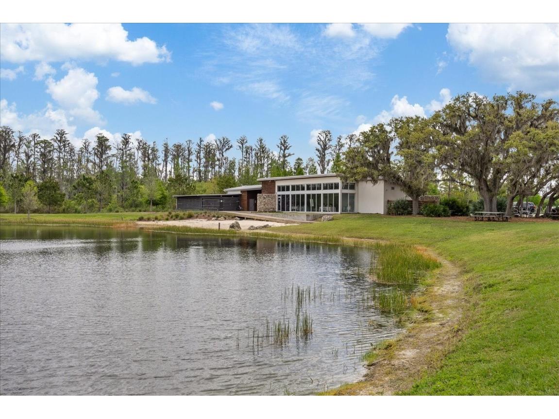 11398 Juglans Drive Odessa FL 33556 W7875778 image88