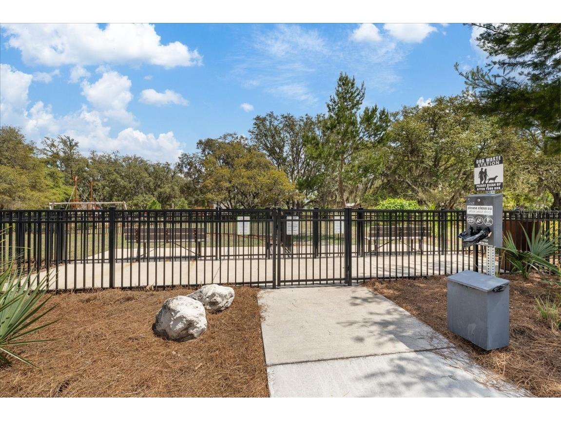 11398 Juglans Drive Odessa FL 33556 W7875778 image89