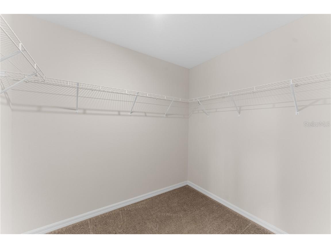 11399 Cay Spruce Way San Antonio FL 33576 TB8444625 image22