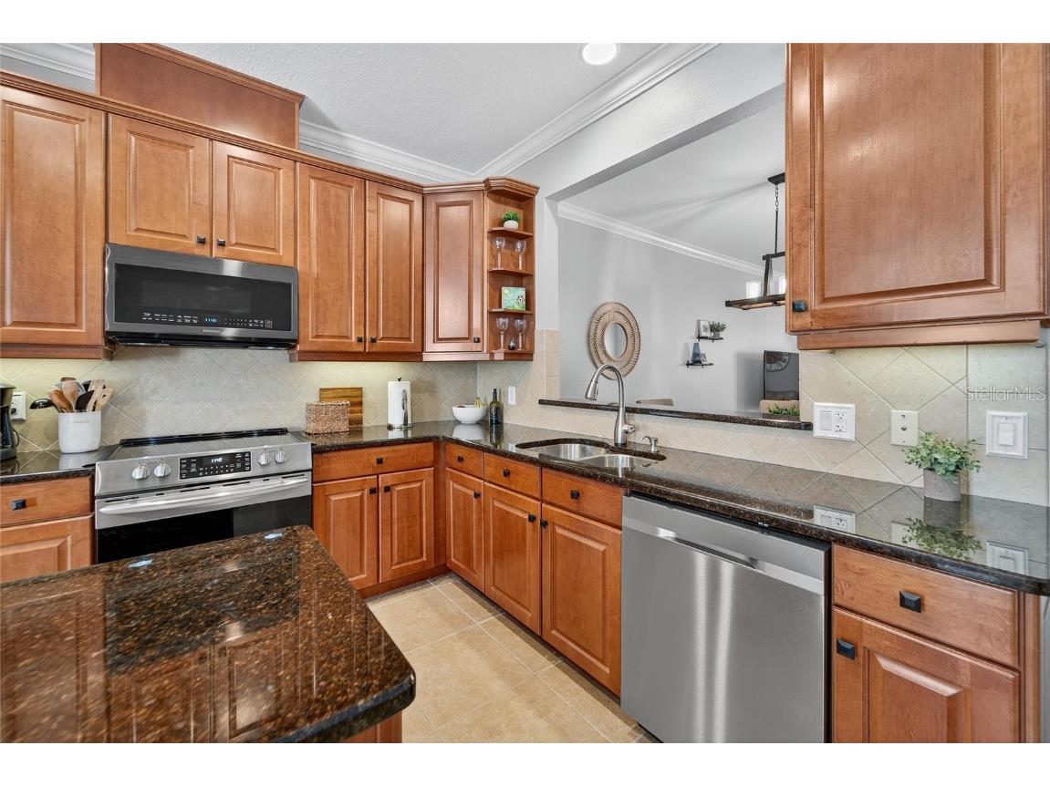 114 Aberdeen Pond Drive Apollo Beach FL 33572 TB8448475 image26