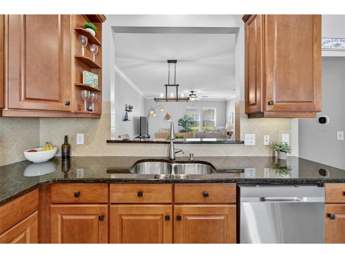 114 Aberdeen Pond Drive Apollo Beach FL 33572 TB8448475 image28