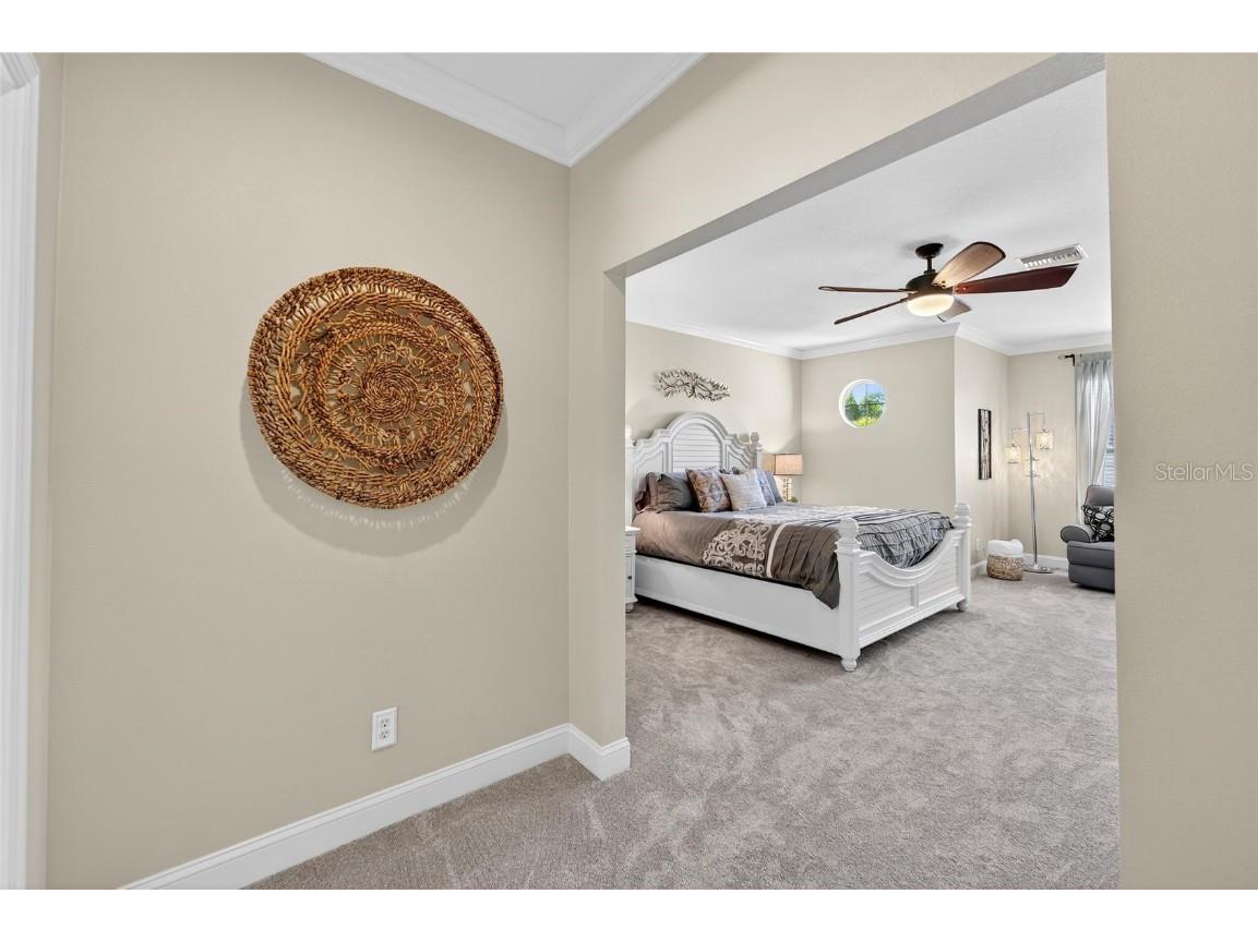 114 Aberdeen Pond Drive Apollo Beach FL 33572 TB8448475 image41