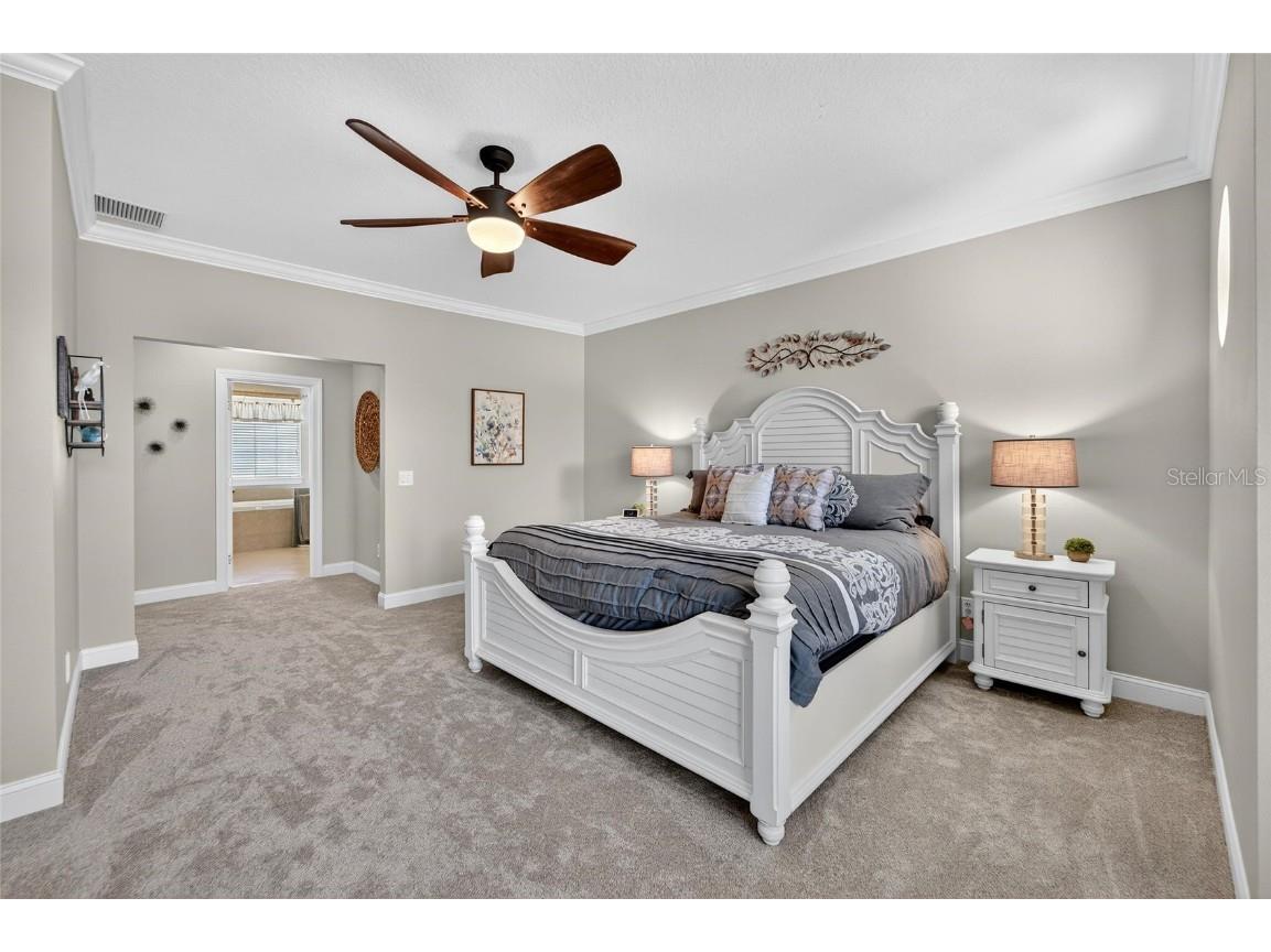 114 Aberdeen Pond Drive Apollo Beach FL 33572 TB8448475 image44