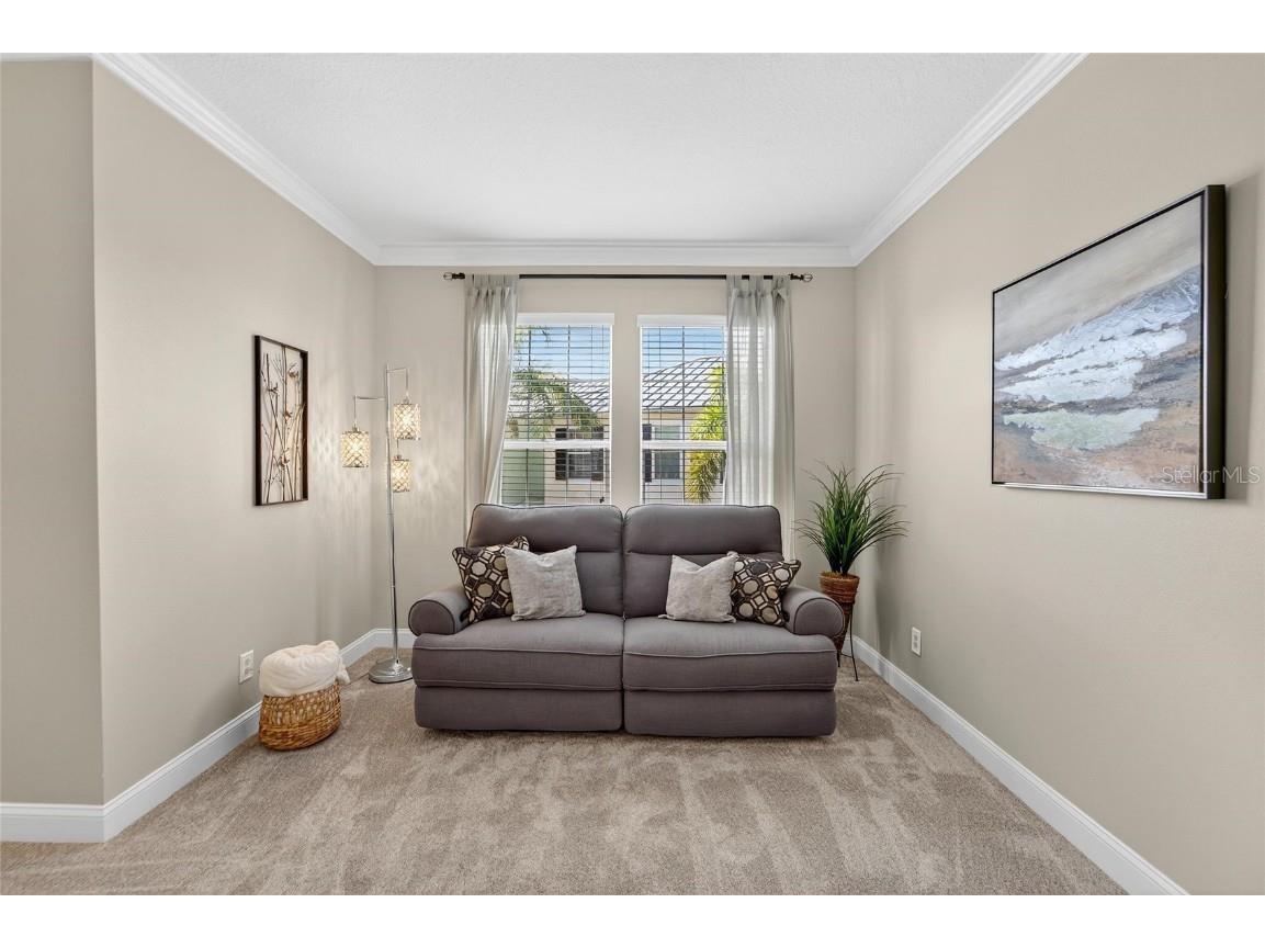 114 Aberdeen Pond Drive Apollo Beach FL 33572 TB8448475 image45