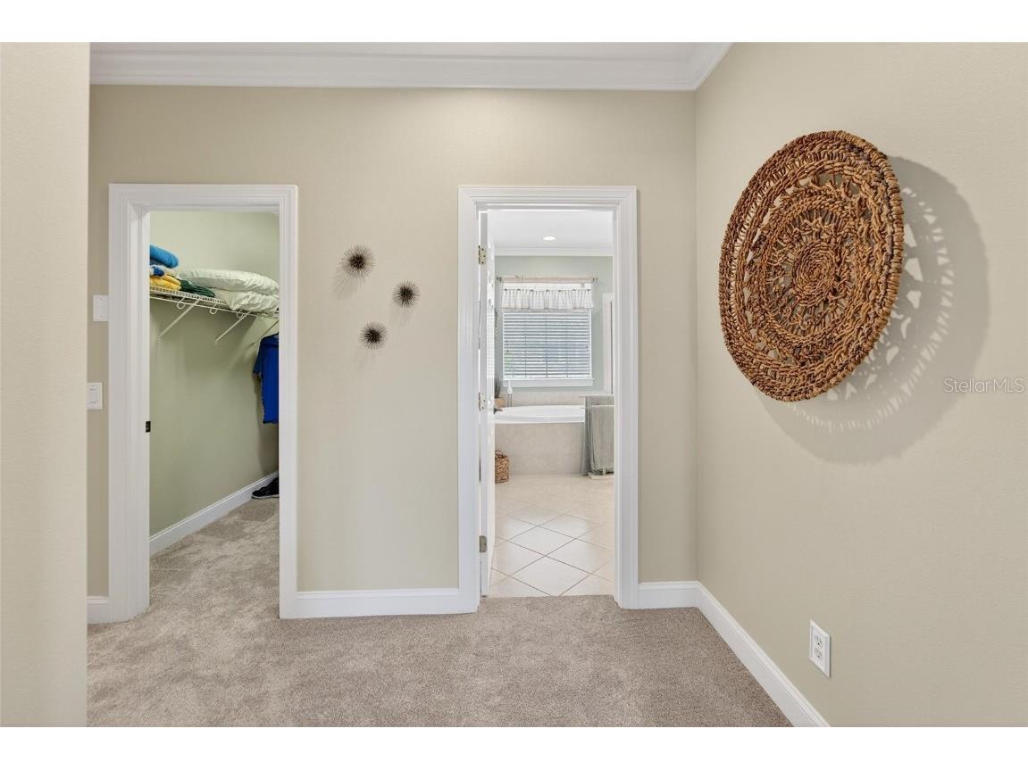 114 Aberdeen Pond Drive Apollo Beach FL 33572 TB8448475 image46