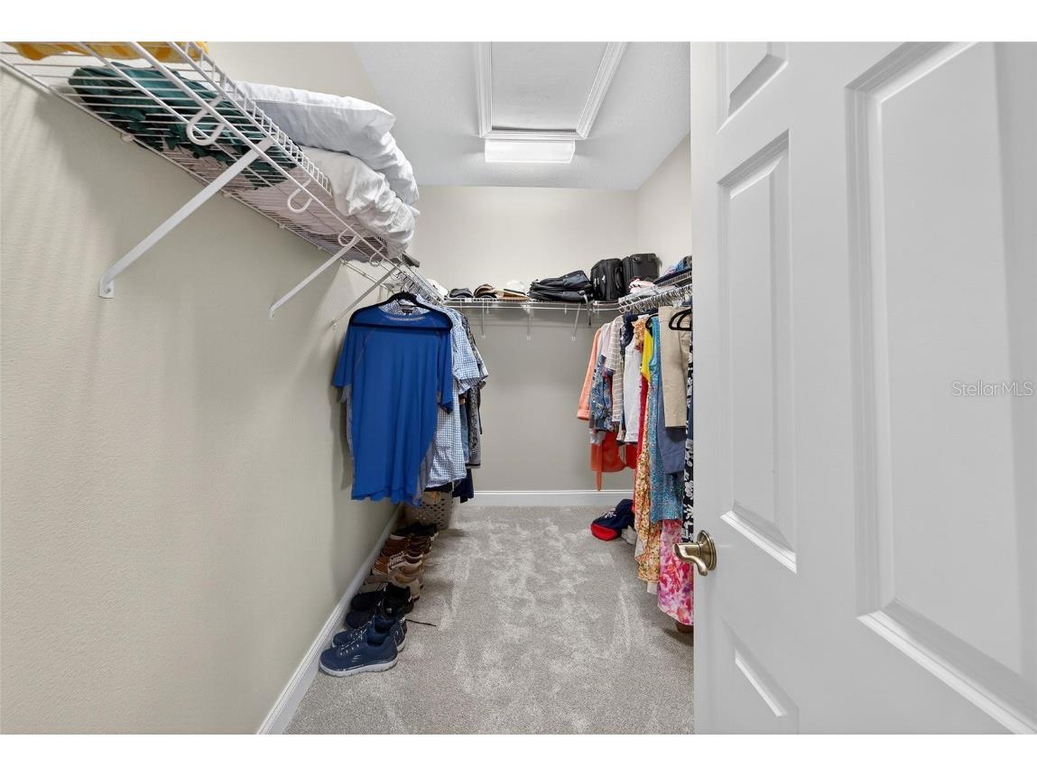 114 Aberdeen Pond Drive Apollo Beach FL 33572 TB8448475 image47