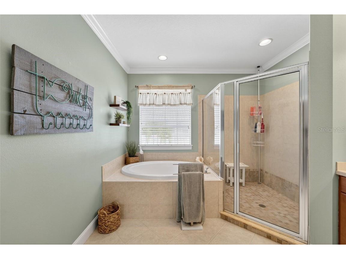 114 Aberdeen Pond Drive Apollo Beach FL 33572 TB8448475 image49