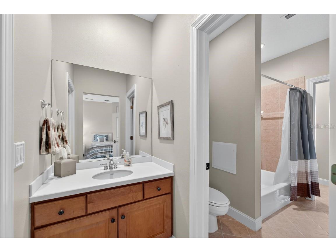 114 Aberdeen Pond Drive Apollo Beach FL 33572 TB8448475 image64