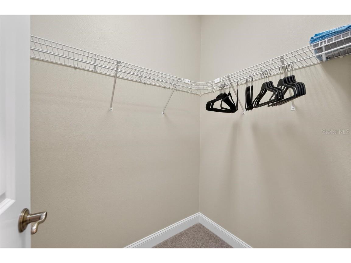 114 Aberdeen Pond Drive Apollo Beach FL 33572 TB8448475 image65