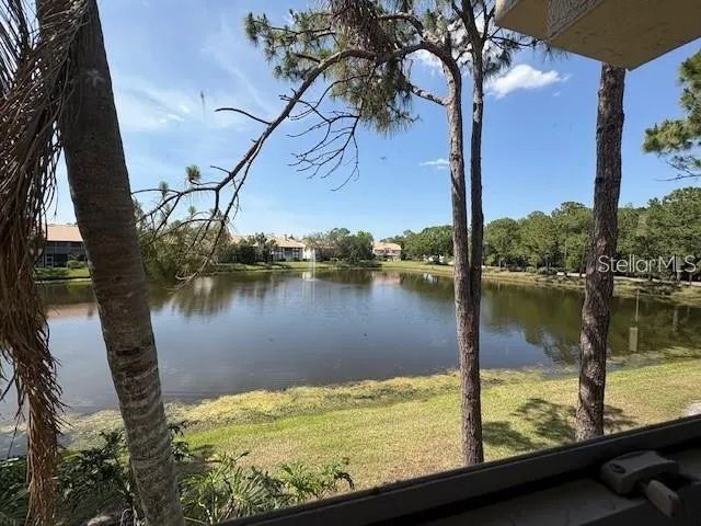 114 Clays Trail #114 Oldsmar FL 34677 TB8379057 image10