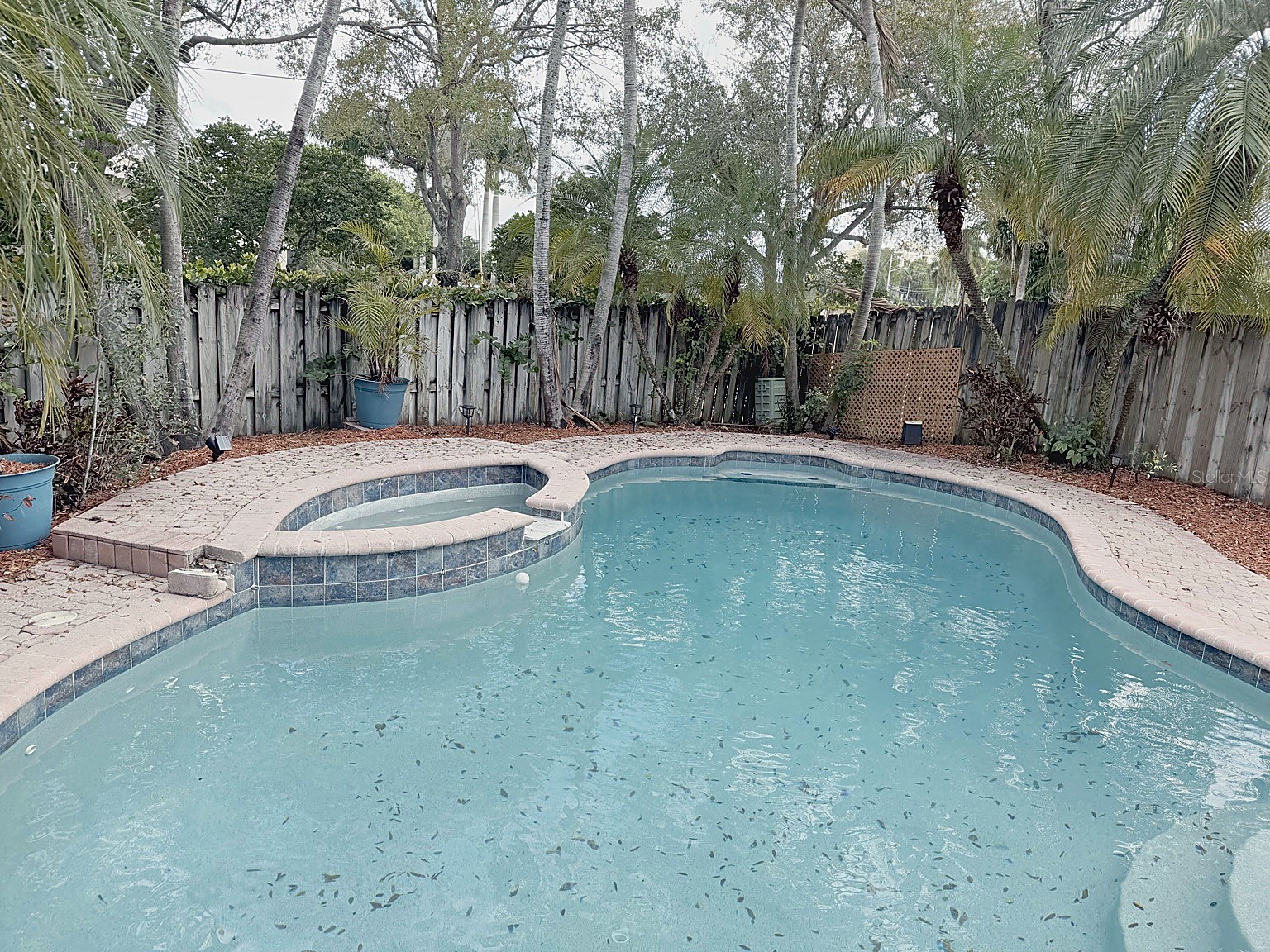114 Danielle Court Weston FL 33326 TB8485485 image28