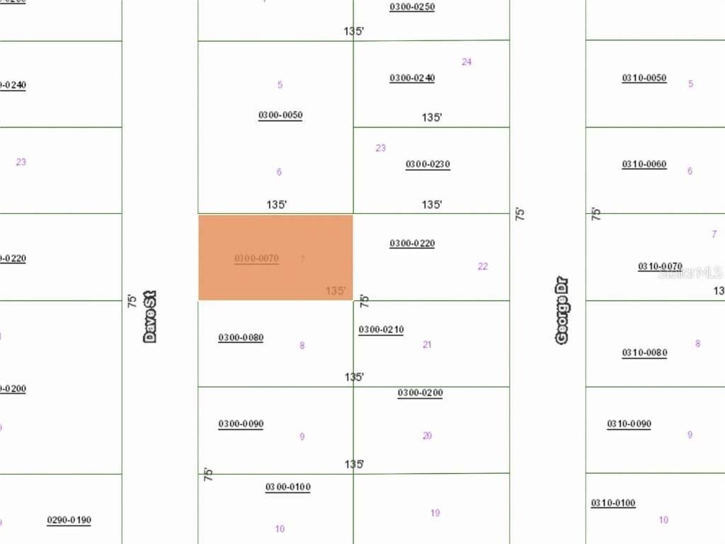 114 Dave Street Interlachen FL 32148 O6352893 image5