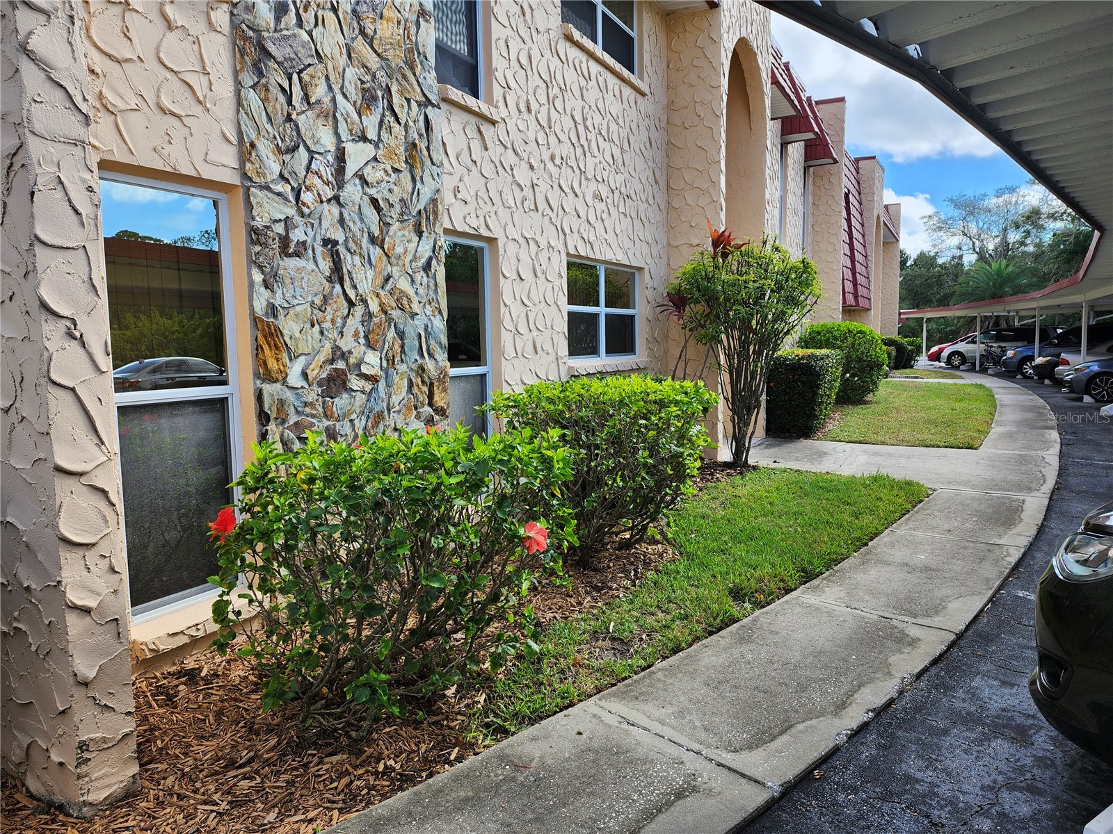 114 Dogwood Circle #114 Seminole FL 33777 TB8455337 image1