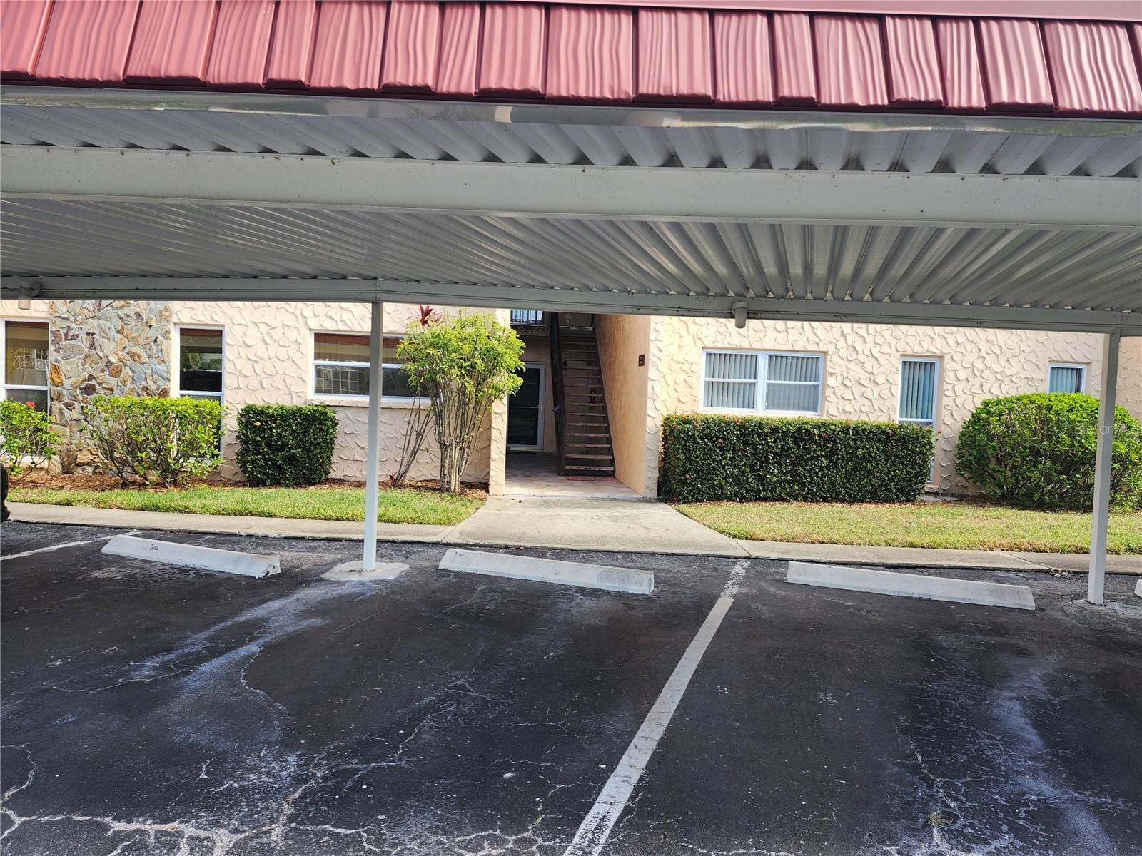 114 Dogwood Circle #114 Seminole FL 33777 TB8455337 image4