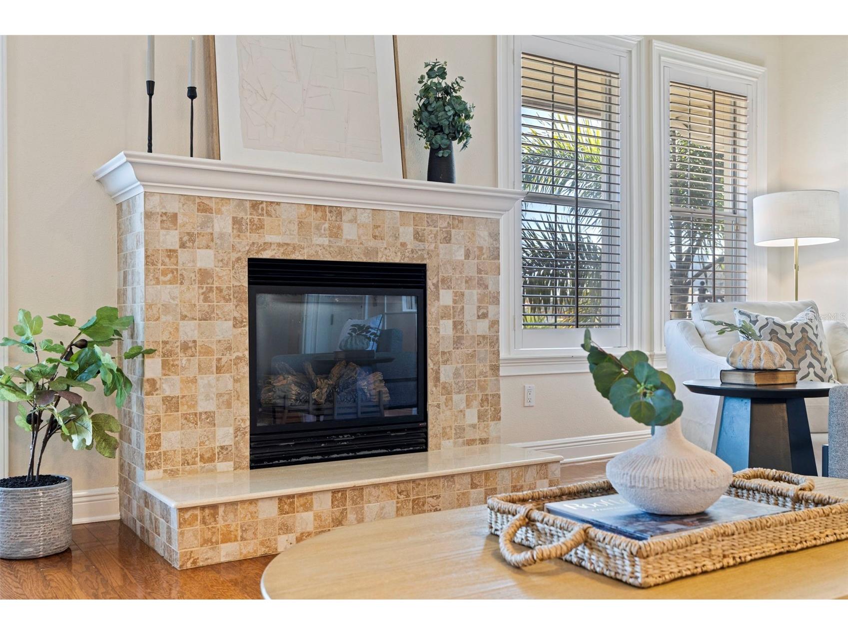 114 E Davis Boulevard #4 Tampa FL 33606 TB8481250 image20