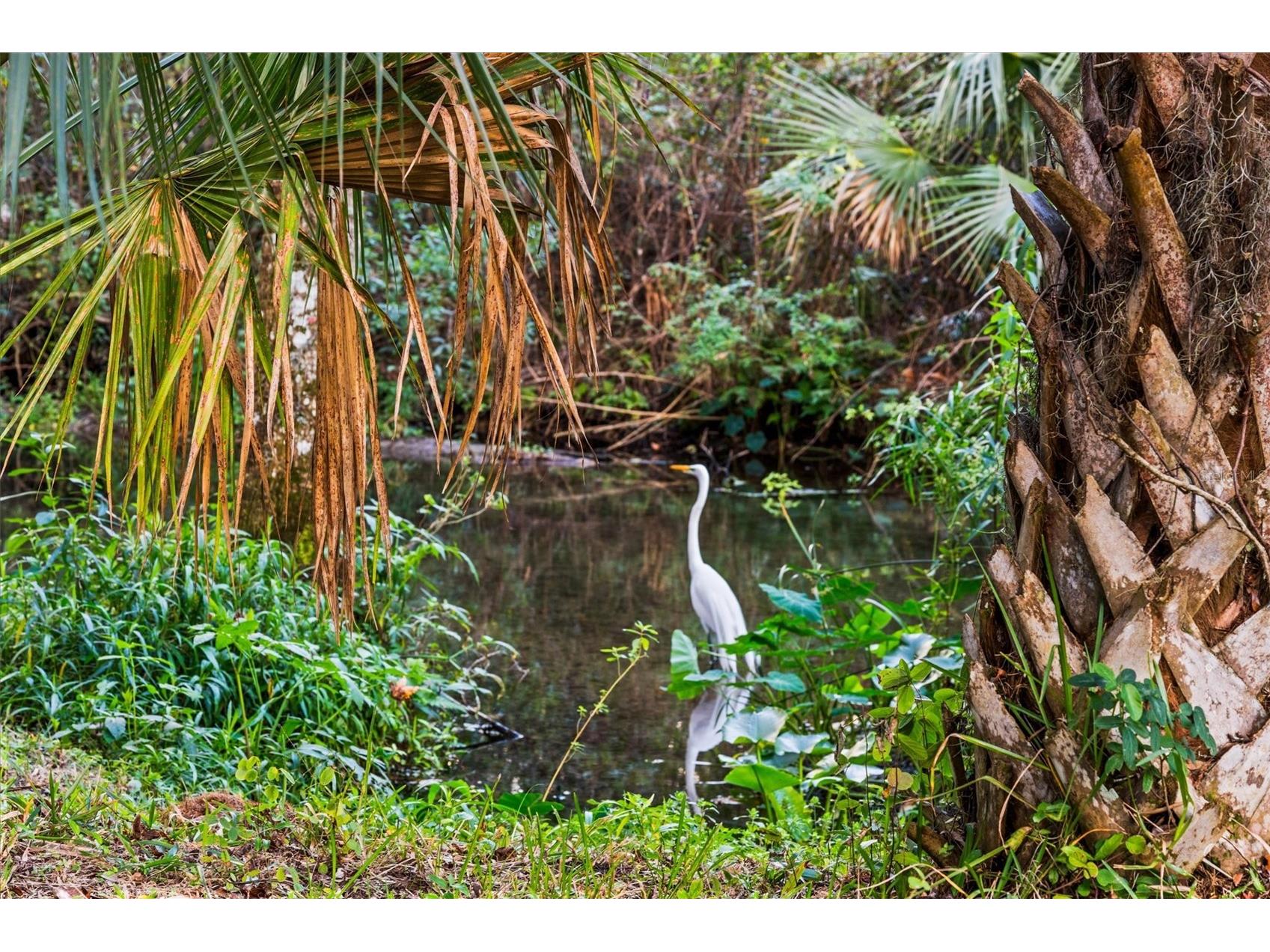 114 Juniper Lane Longwood FL 32779 O6373571 image43