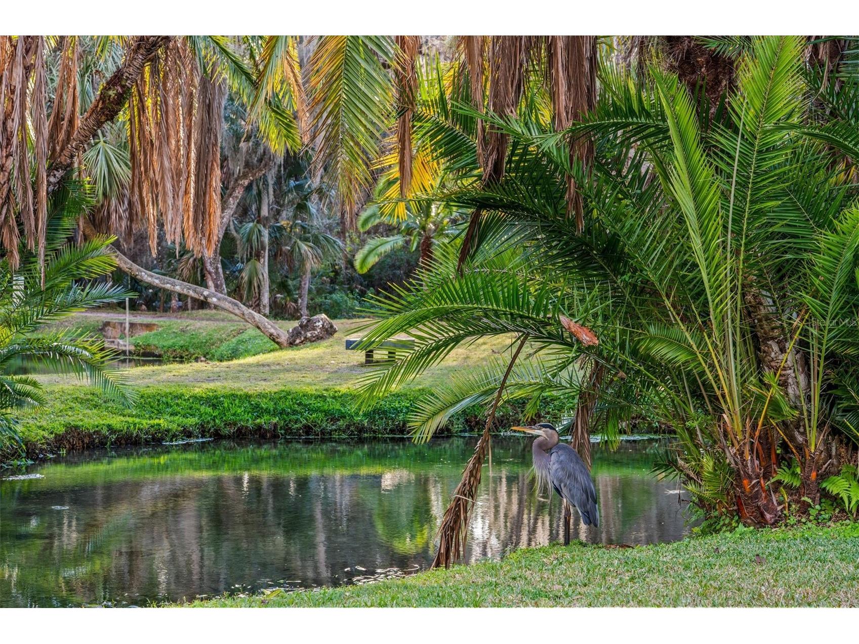 114 Juniper Lane Longwood FL 32779 O6373571 image44