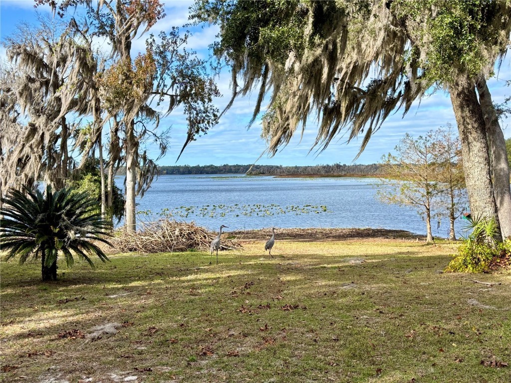 114 Little Orange Lake Drive Hawthorne FL 32640 - LITTLE ORANGE LAKE GC536101 image1