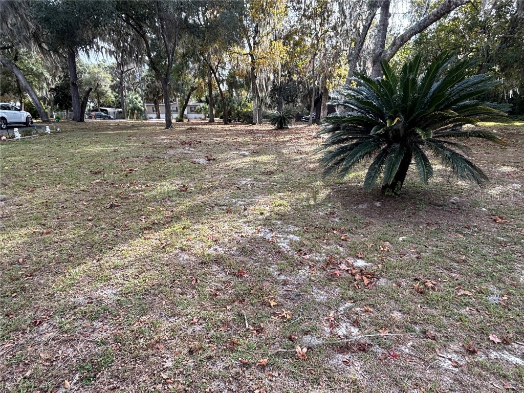 114 Little Orange Lake Drive Hawthorne FL 32640 - LITTLE ORANGE LAKE GC536101 image11