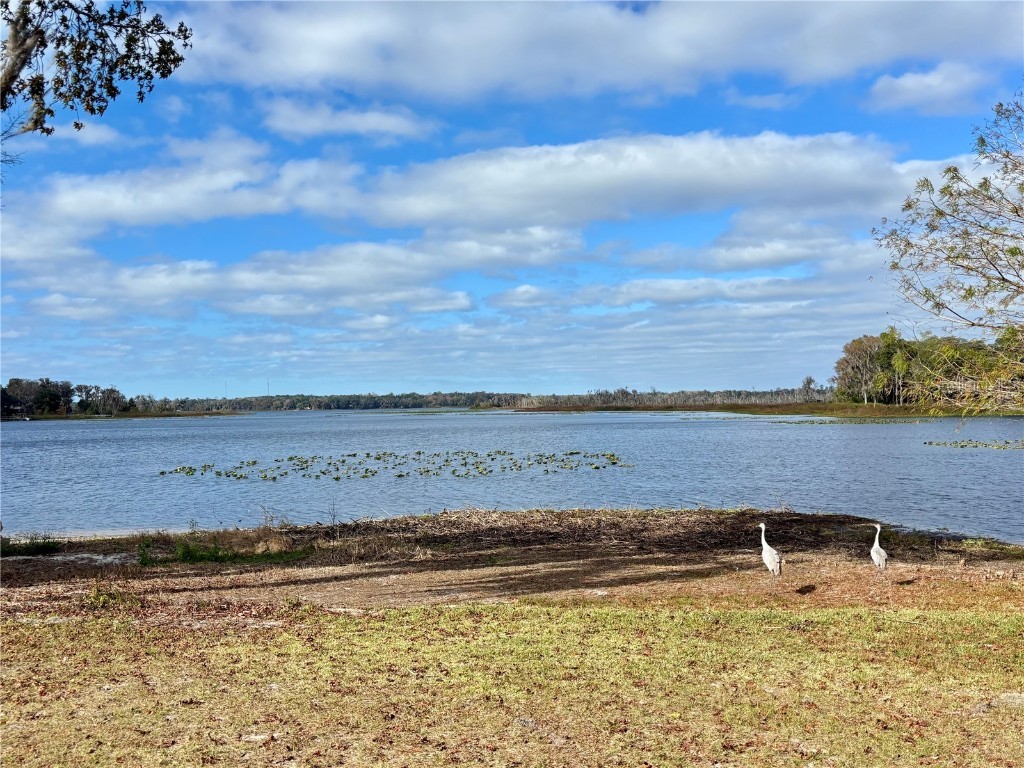 114 Little Orange Lake Drive Hawthorne FL 32640 - LITTLE ORANGE LAKE GC536101 image14