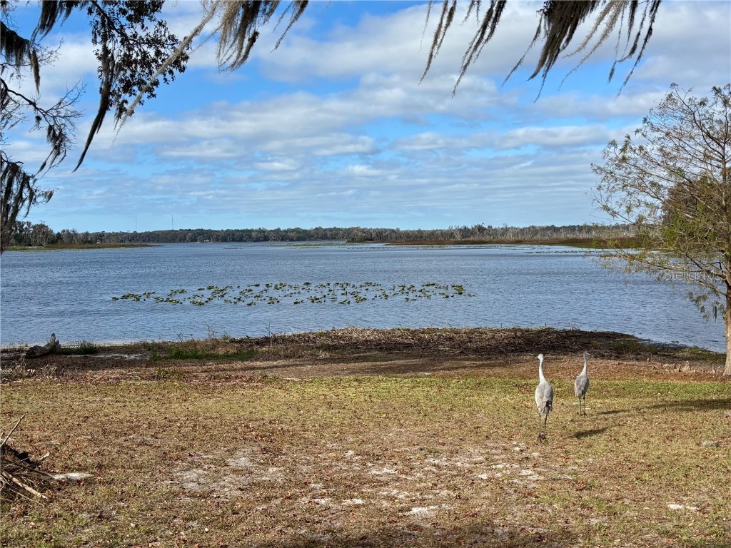 114 Little Orange Lake Drive Hawthorne FL 32640 - LITTLE ORANGE LAKE GC536101 image16