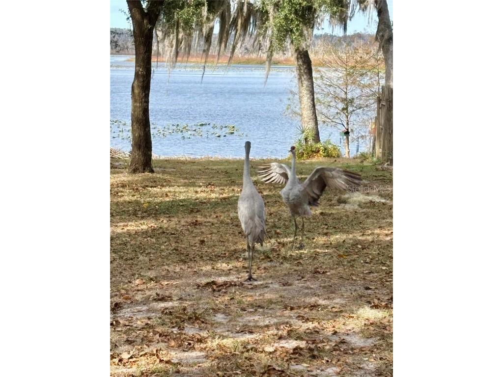 114 Little Orange Lake Drive Hawthorne FL 32640 - LITTLE ORANGE LAKE GC536101 image17