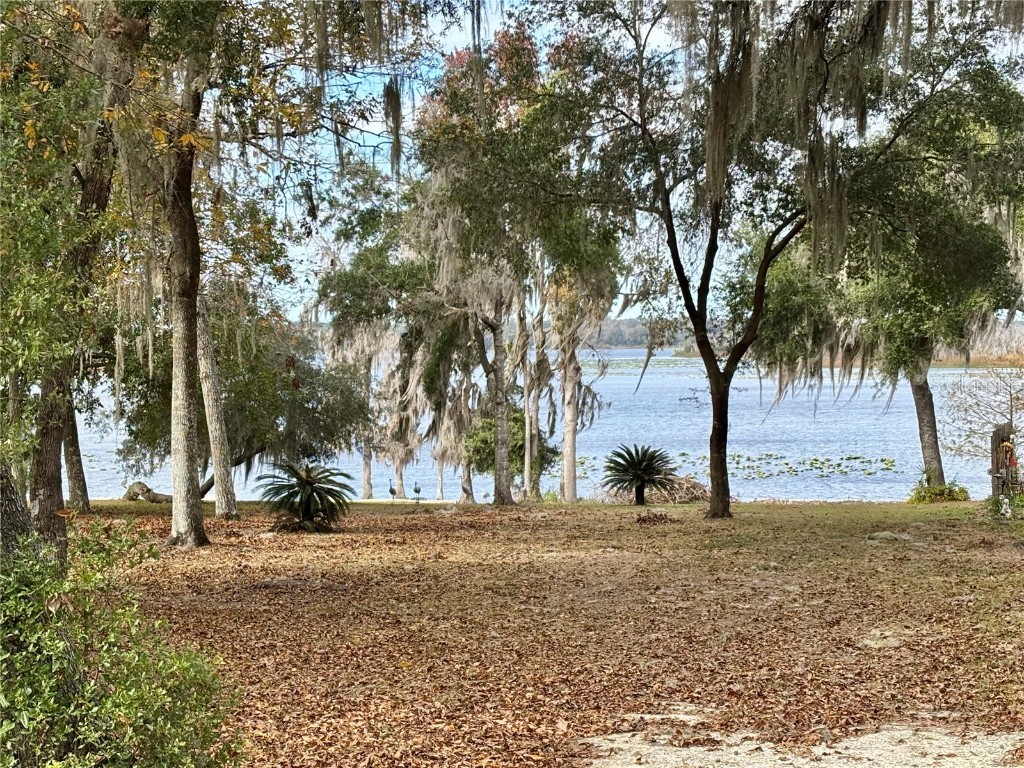 114 Little Orange Lake Drive Hawthorne FL 32640 - LITTLE ORANGE LAKE GC536101 image20