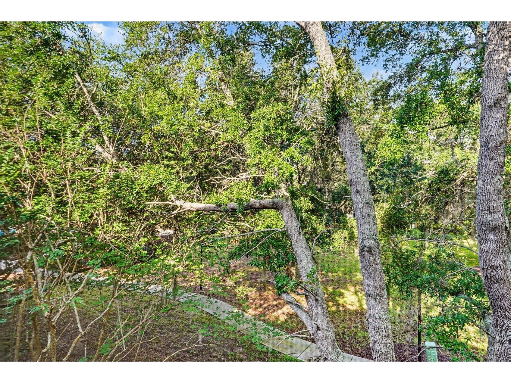 114 Lucaya Loop #114 Davenport FL 33897 O6414537 image29