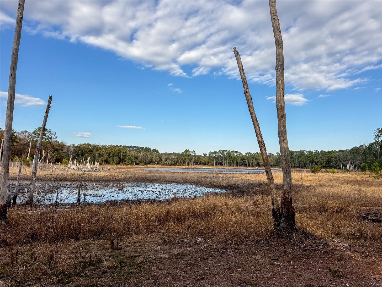 114 Mandarin Lake Road Melrose FL 32666 - MANDARIN LAKE GC537835 image18