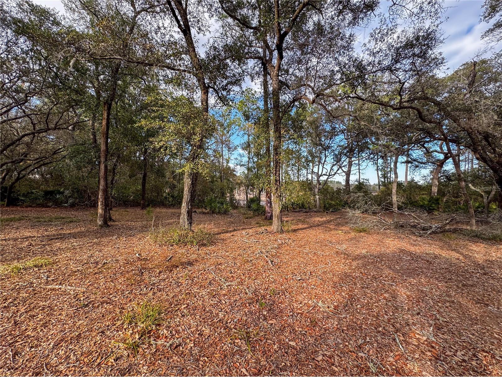 114 Mandarin Lake Road Melrose FL 32666 - MANDARIN LAKE GC537835 image19