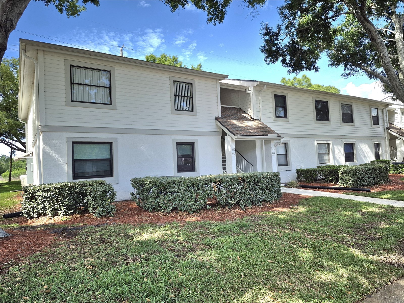 114 Meadow Lane #114 Oldsmar FL 34677 TB8498436 image1