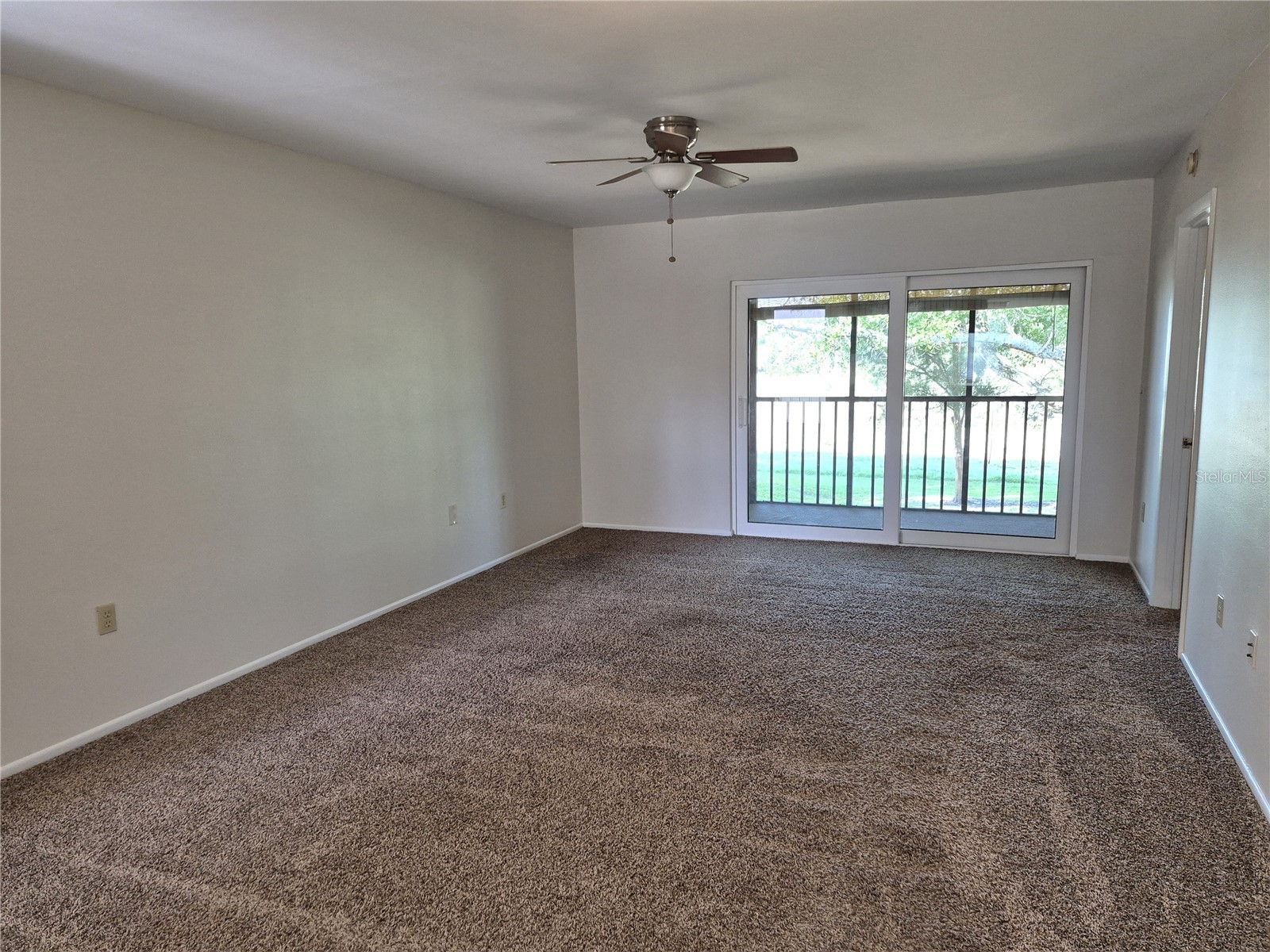 114 Meadow Lane #114 Oldsmar FL 34677 TB8498436 image13