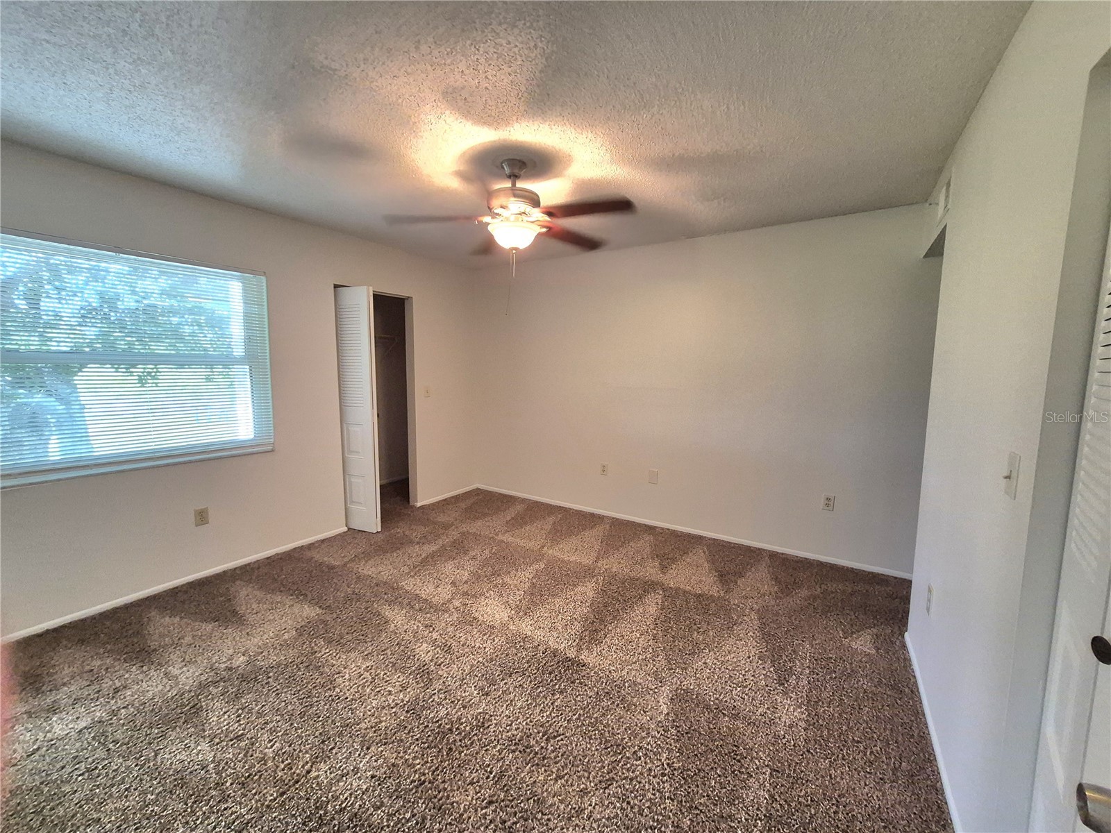 114 Meadow Lane #114 Oldsmar FL 34677 TB8498436 image15