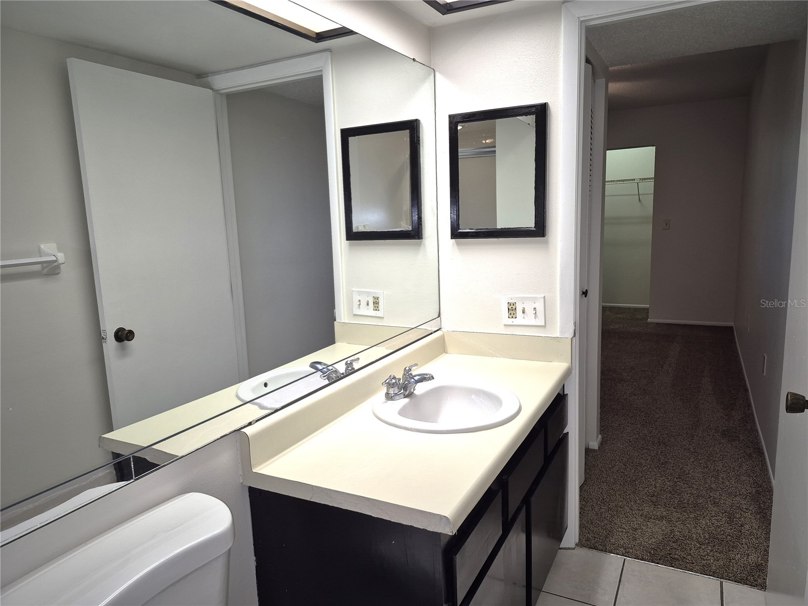 114 Meadow Lane #114 Oldsmar FL 34677 TB8498436 image18