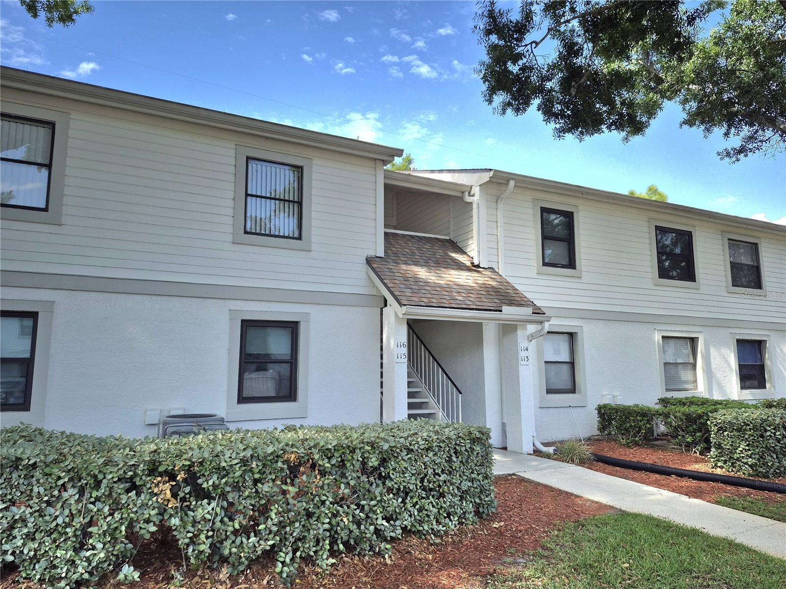 114 Meadow Lane #114 Oldsmar FL 34677 TB8498436 image2