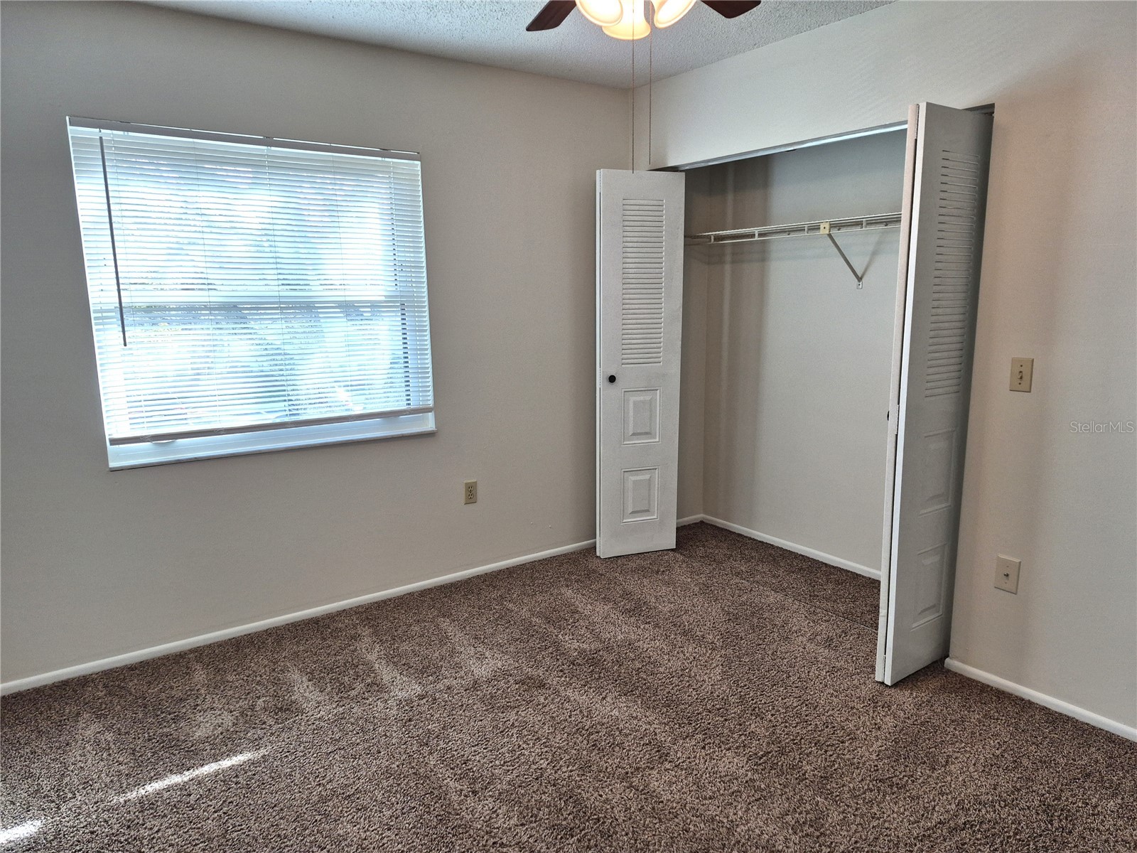 114 Meadow Lane #114 Oldsmar FL 34677 TB8498436 image20