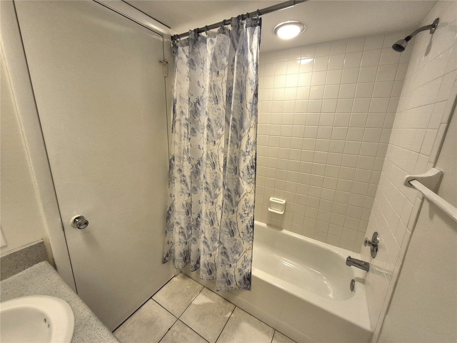 114 Meadow Lane #114 Oldsmar FL 34677 TB8498436 image23