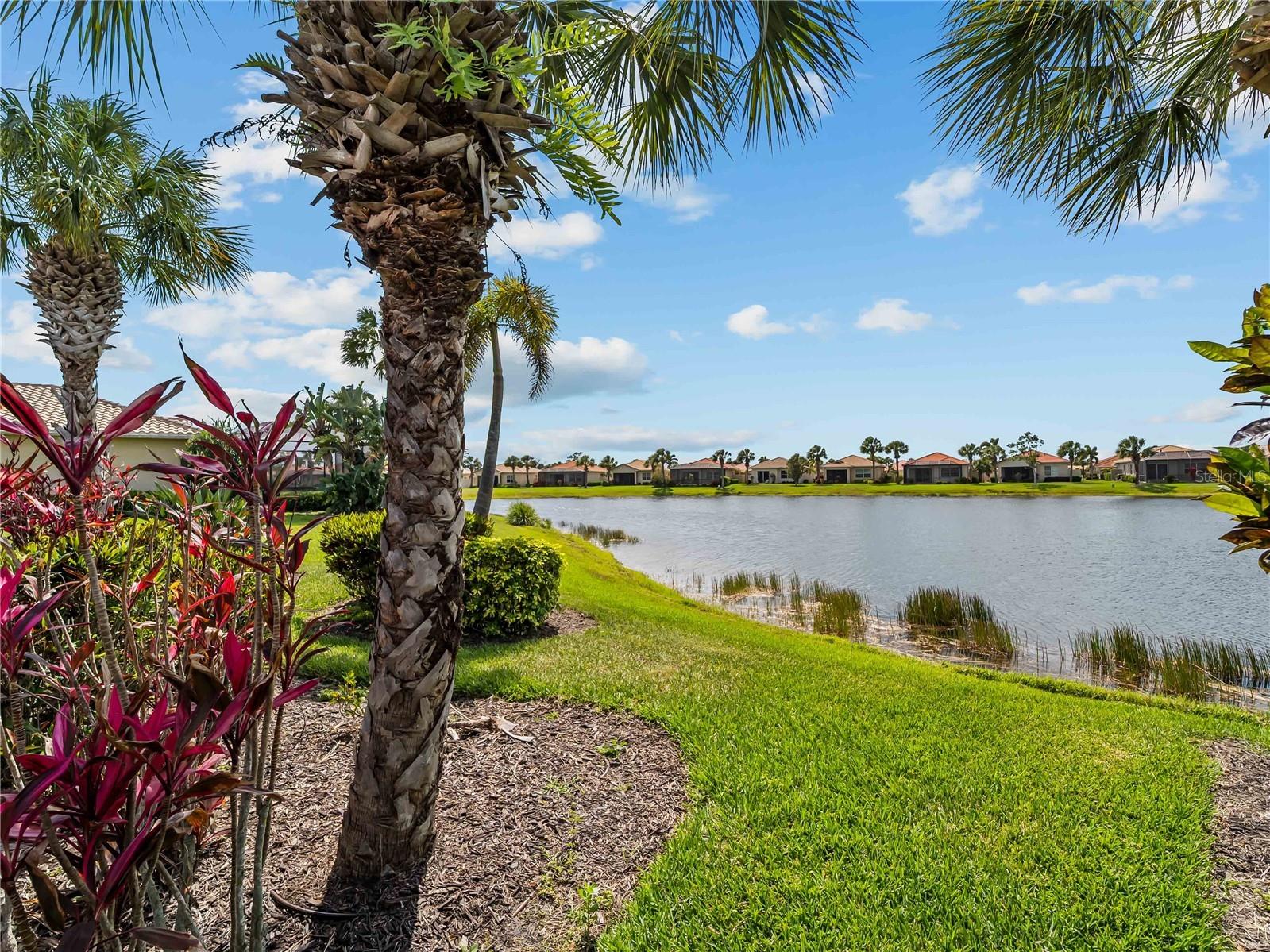 114 Mestre Court #32 North Venice FL 34275 A4690671 image39