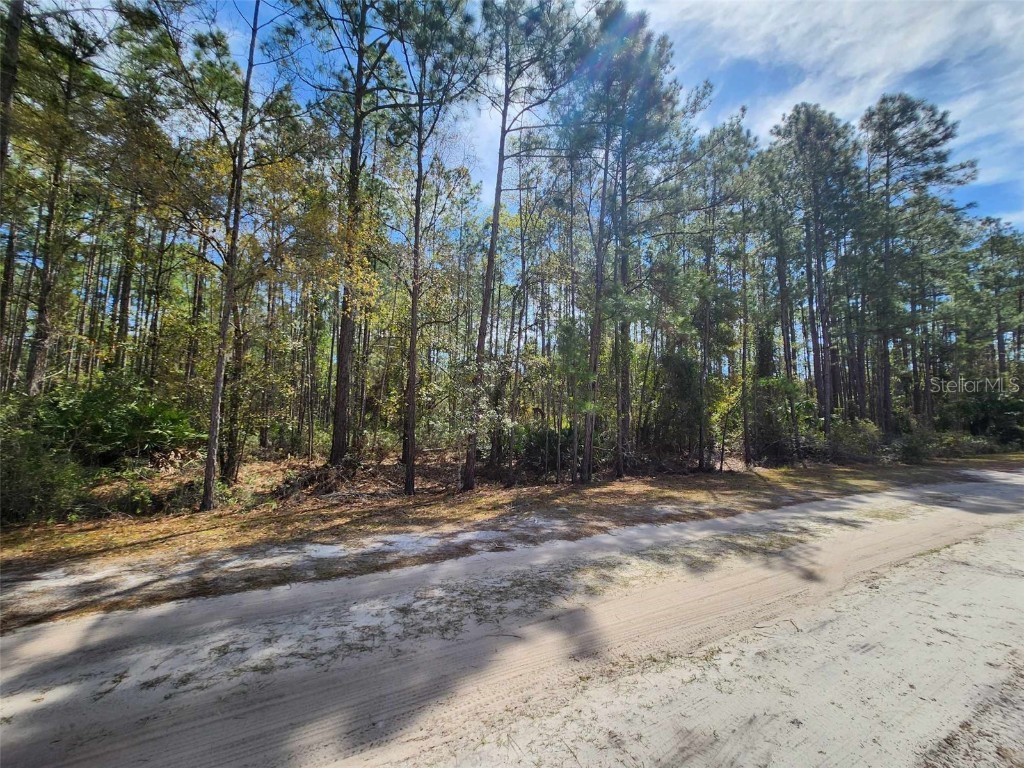 114 Mosswood Street Georgetown FL 32139 FC308375 image4