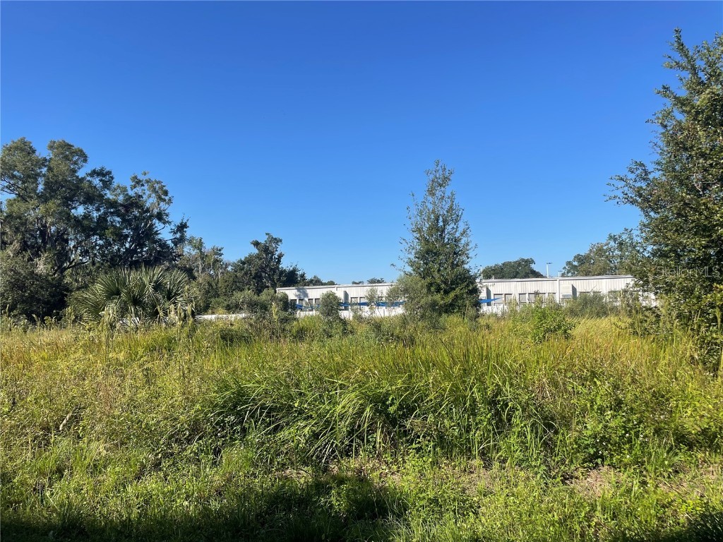 114 Pevetty Drive Plant City FL 33563 TB8439923 image1