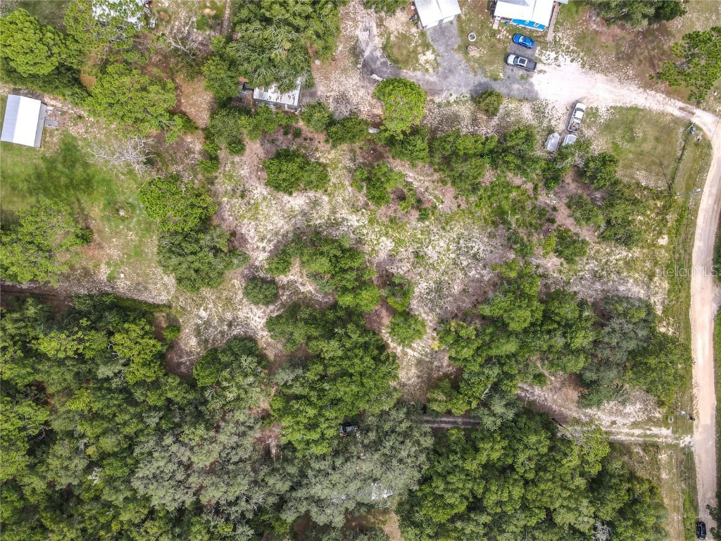 114 Plantation Way Hawthorne FL 32640 GC533812 image7