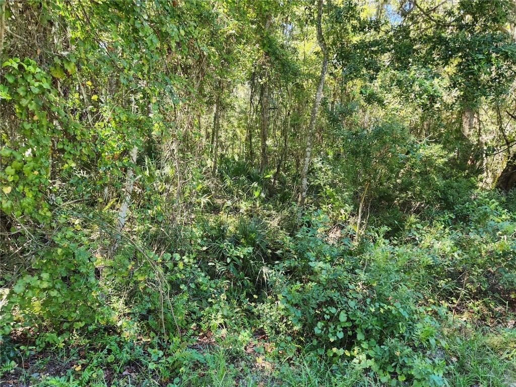 114 Ridgeline Avenue Satsuma FL 32189 FC294909 image1