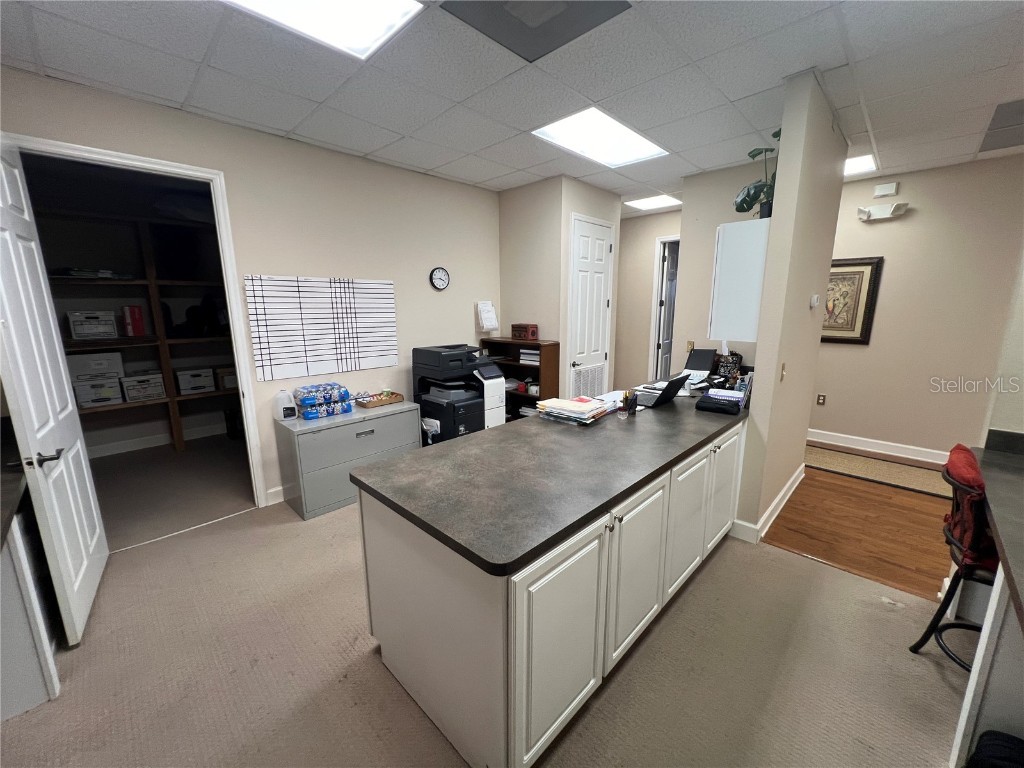 114 S Fremont Avenue Tampa FL 33606 TB8412153 image16